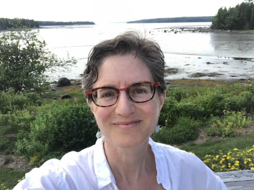 Cover of 'Lisa B. Segal' 