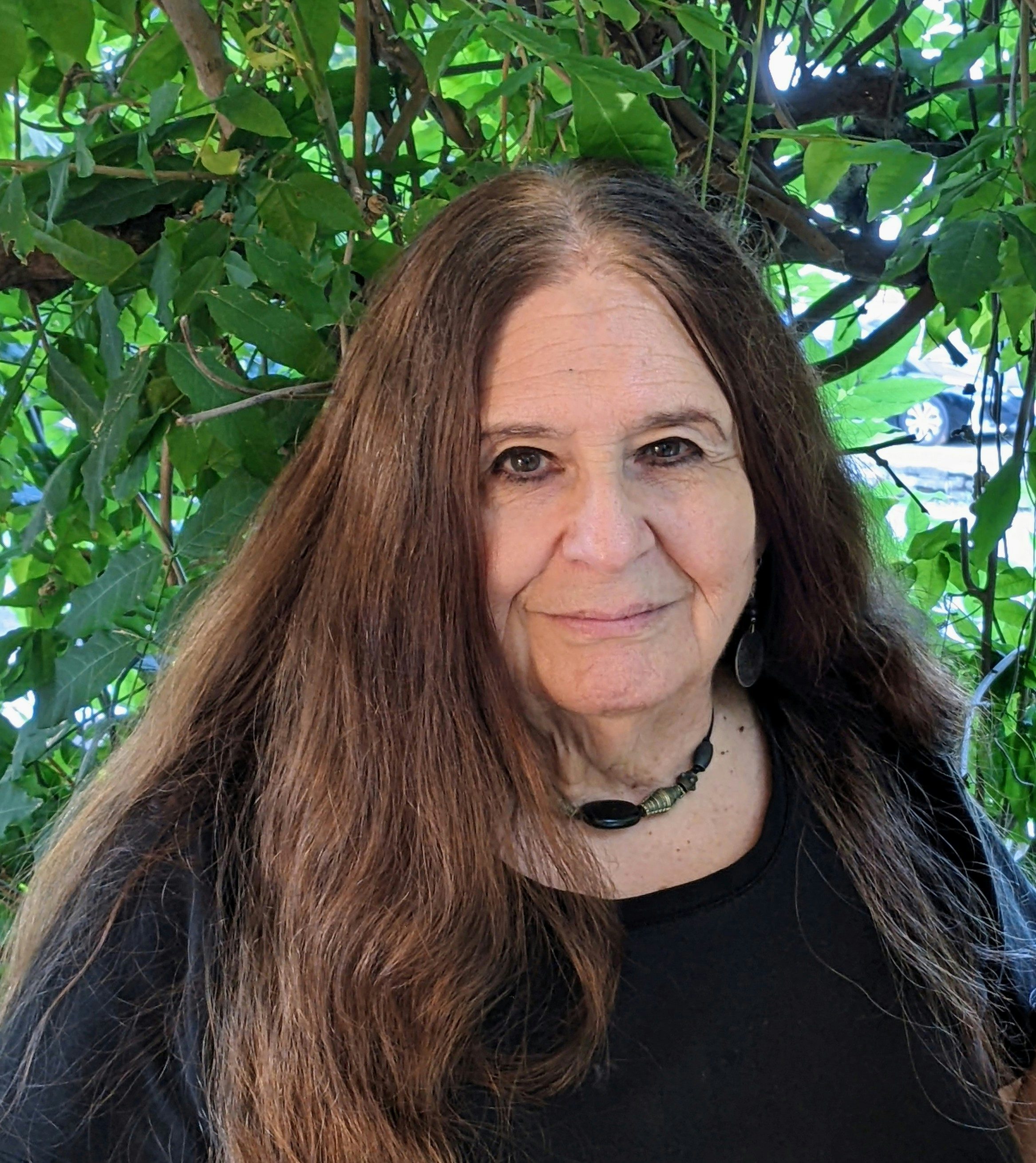 Cover of 'Merle Feld' 