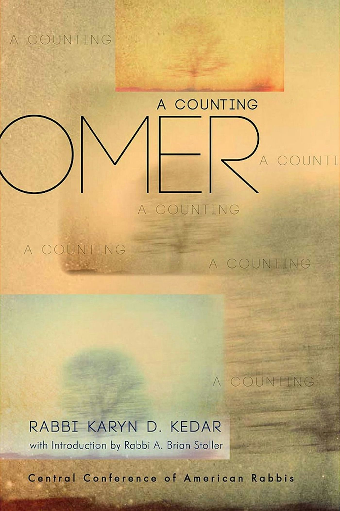 Cover of 'Omer' by Karyn D. Kedar 