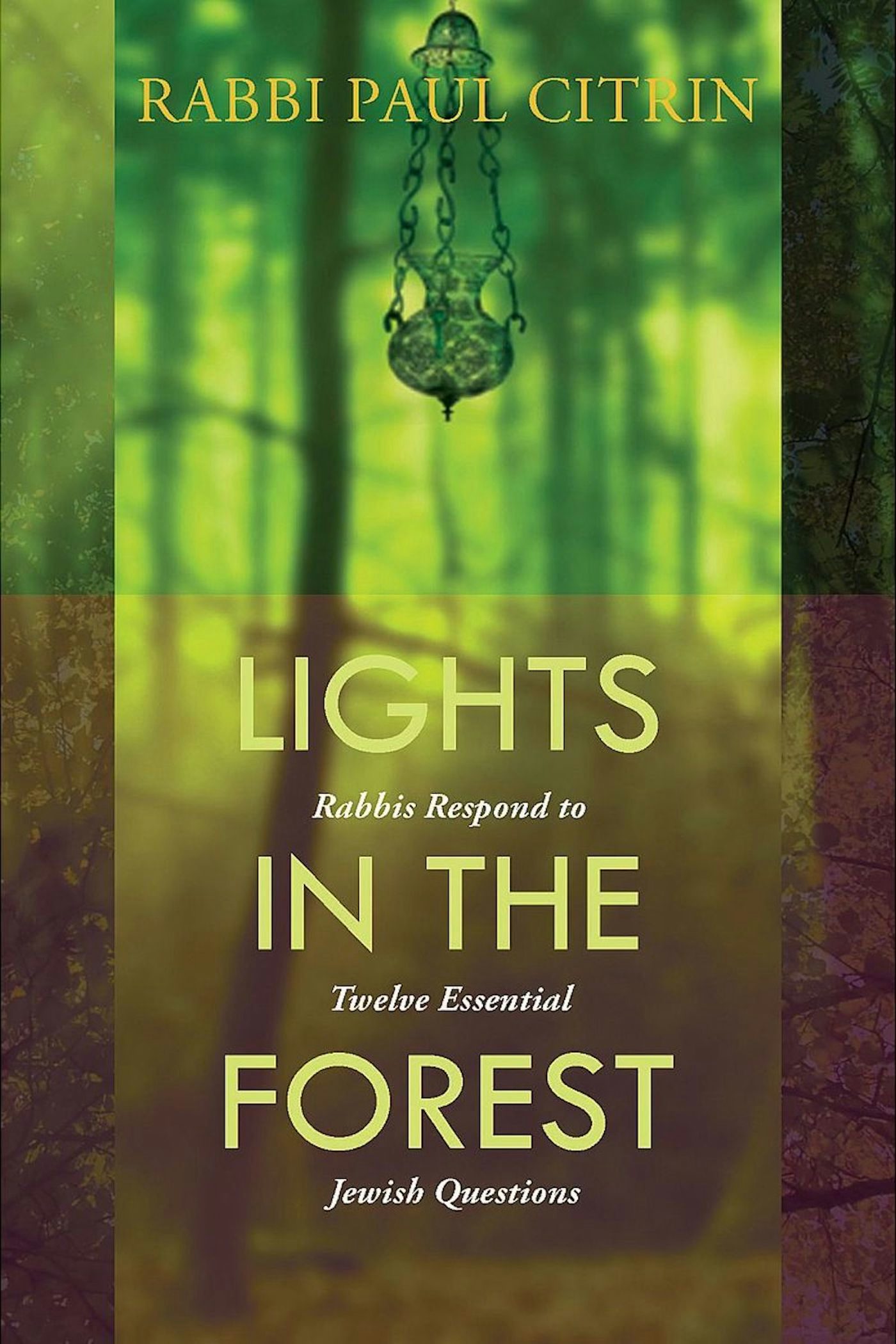 Cover of 'Lights in the Forest' by Rabbi Paul  Citrin 