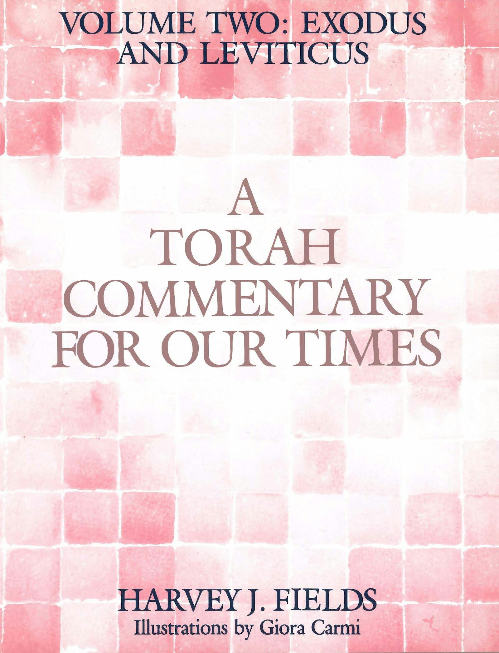 Cover of 'A Torah Commentary for Our Times: Volume 2' 