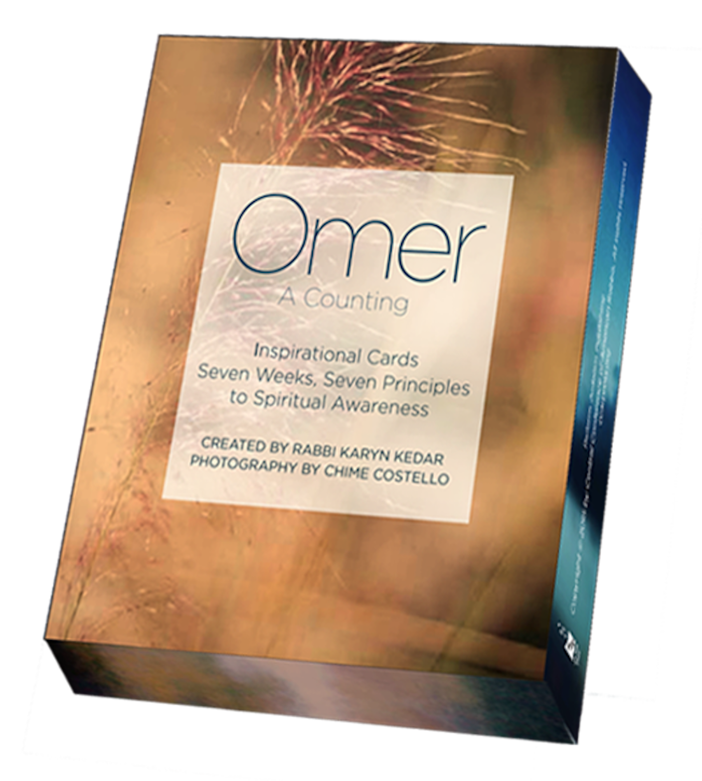 Cover of 'Omer Cards' by Karyn D. Kedar 