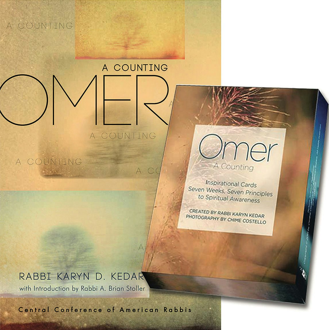 Cover of 'Omer Bundle: Book + Cards' by Karyn D. Kedar 