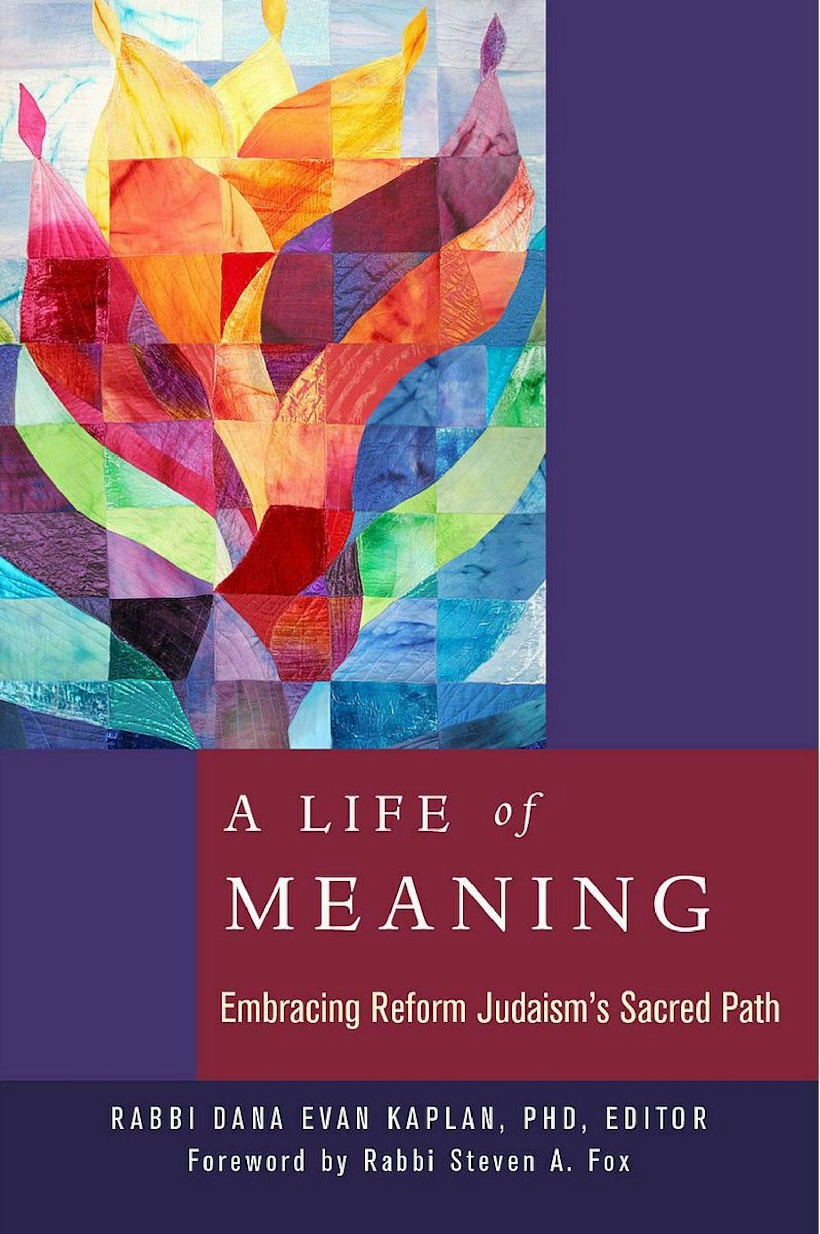 Cover of 'A Life of Meaning' by Dana Evan Kaplan 