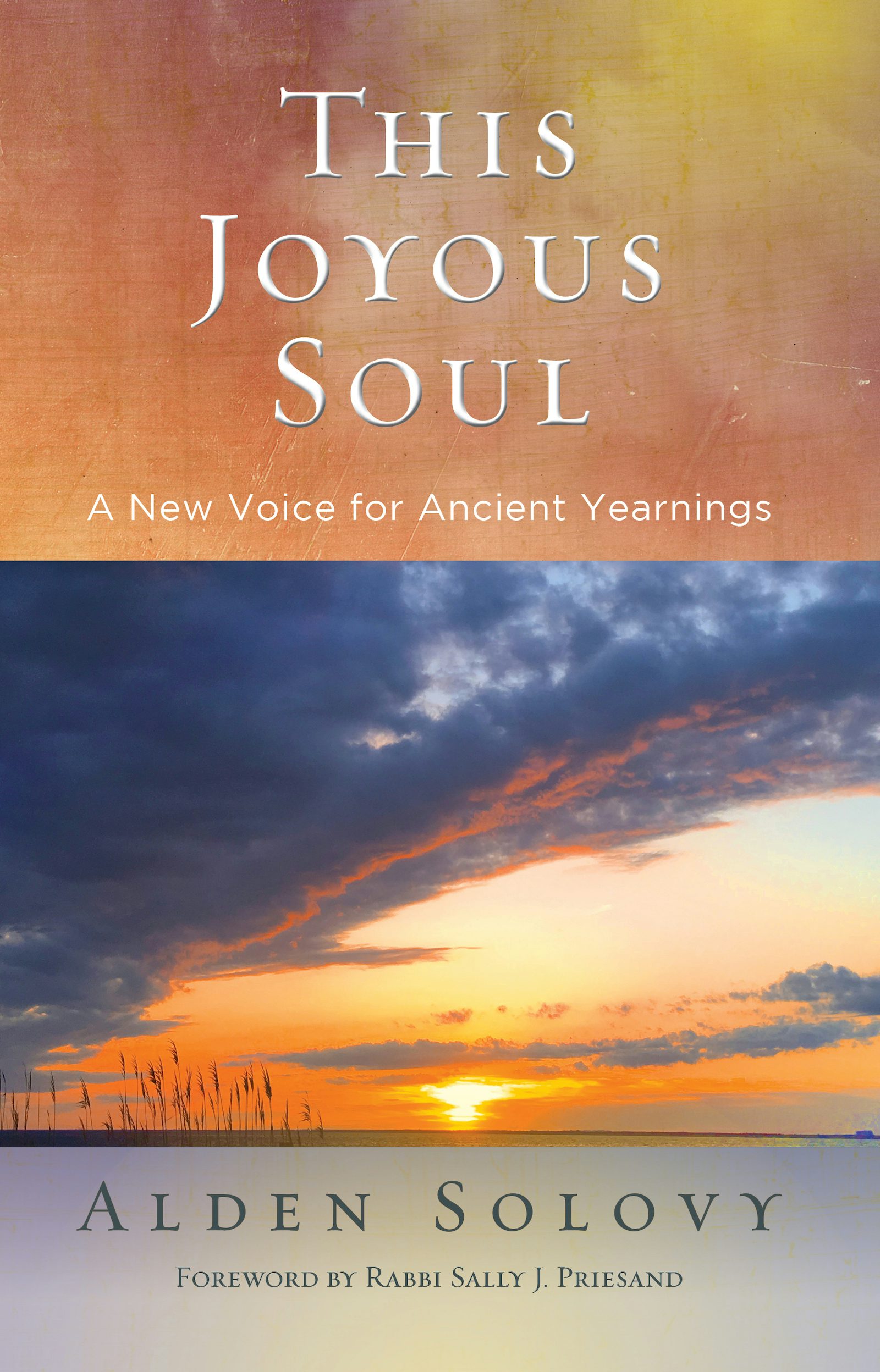 Cover of 'This Joyous Soul' by Alden Solovy 