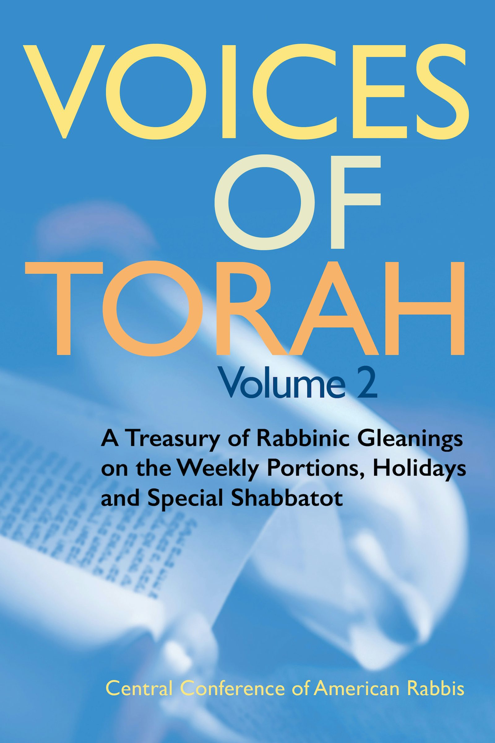 Cover of 'Voices of Torah, Volume 2' by Sonja K. Pilz 