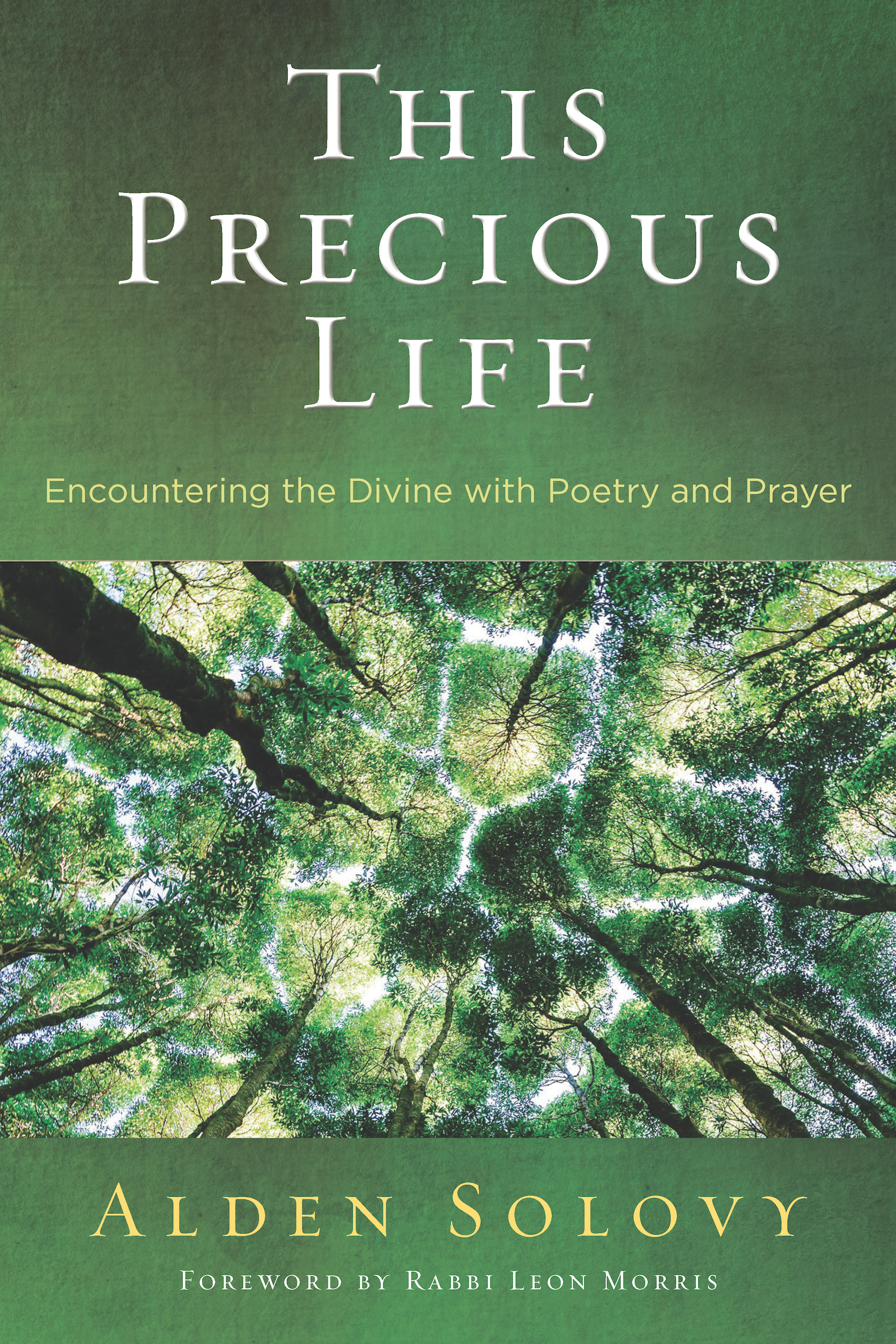Cover of 'This Precious Life' by Alden Solovy 