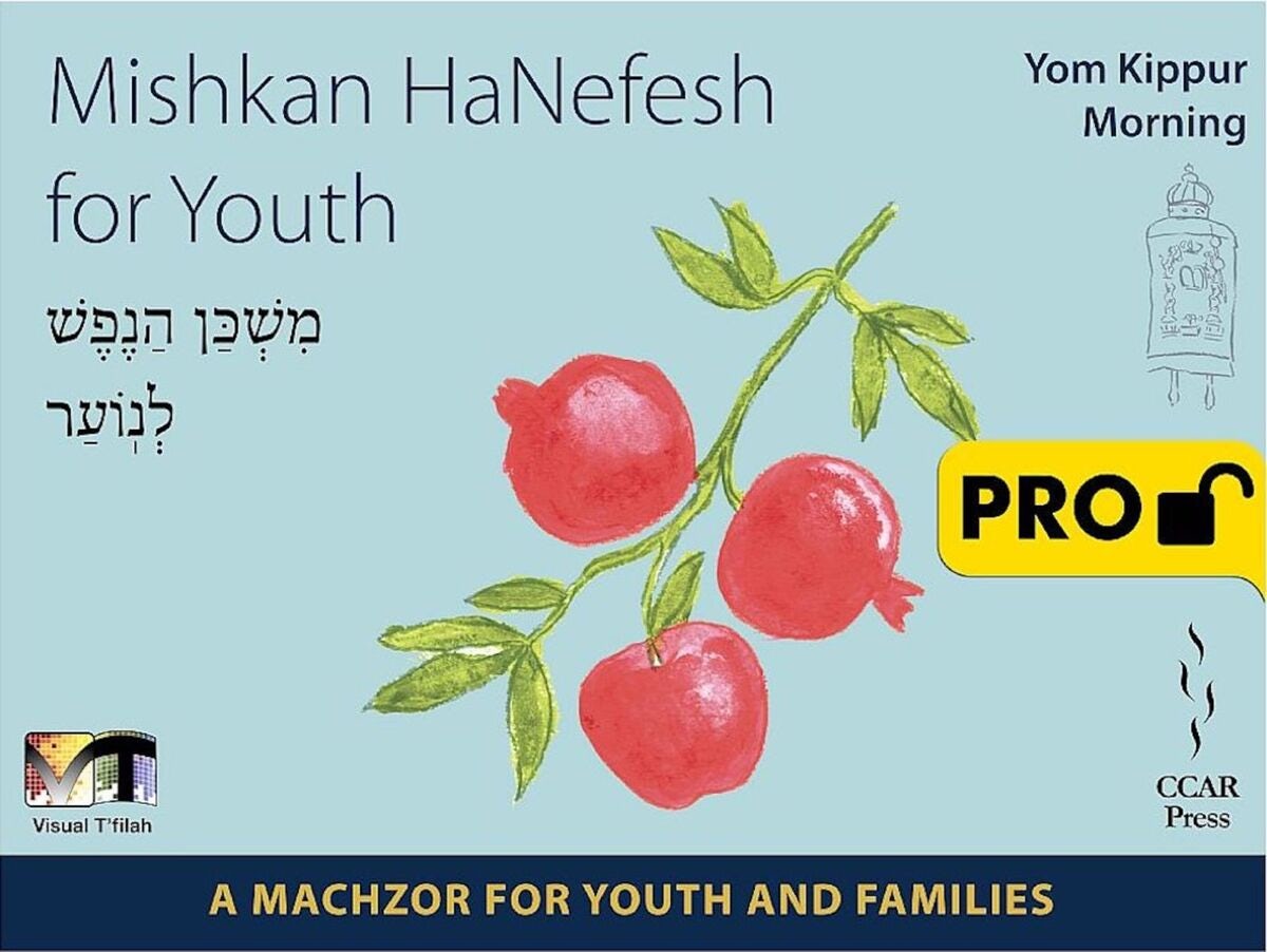 Cover of 'Mishkan HaNefesh for Youth Visual Tfilah- Yom Kippur - Morning -  Pro' by Melissa Buyer-Witman and Mark Podwal 