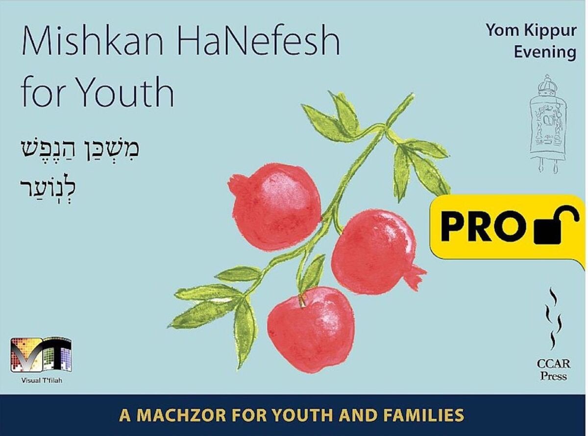 Cover of 'Mishkan HaNefesh for Youth Visual Tfilah - Yom Kippur - Evening -  Pro' by Melissa Buyer-Witman and Mark Podwal 