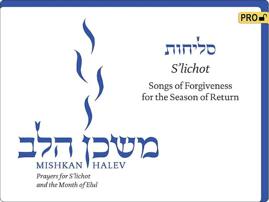 Cover of 'Mishkan HaLev: Slichot - Visual Tfilah - Pro' by Rabbi Janet  Marder and Rabbi Sheldon Marder 