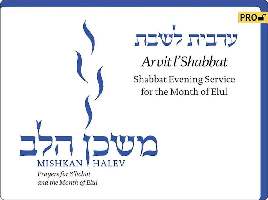 Cover of 'Mishkan HaLev: Arvit - Visual Tfilah - Pro' by Rabbi Janet  Marder and Rabbi Sheldon Marder 