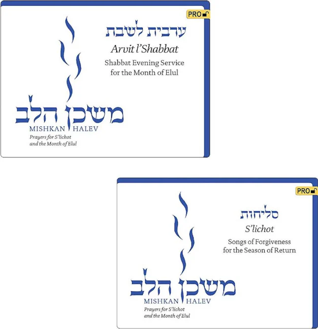 Cover of 'Mishkan HaLev Visual Tfilah Bundle (Arvit & Slichot) - Pro' by Rabbi Janet  Marder and Rabbi Sheldon Marder 