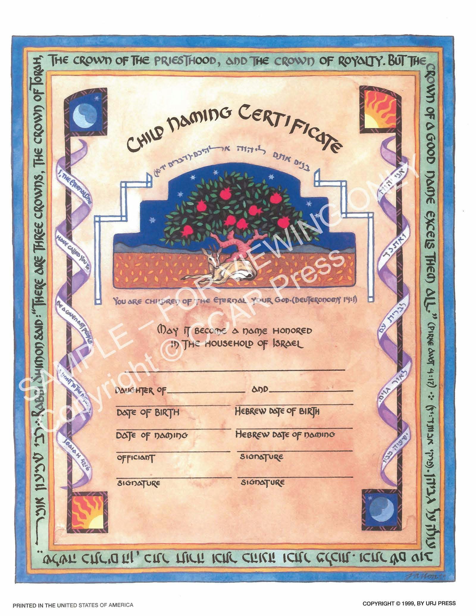 Cover of 'Child Naming, Girl, Single, Illuminated - Certificate (PDF Download)' 