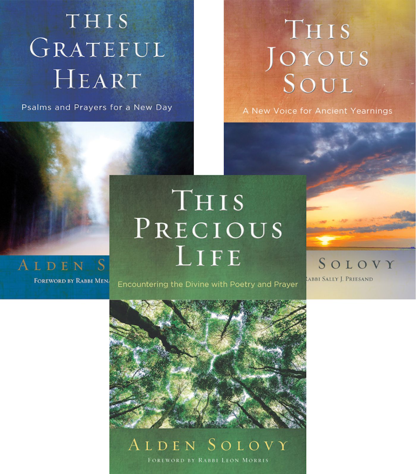 Cover of 'This Grateful Heart / This Joyous Soul / This Precious Life Bundle' by Alden Solovy 