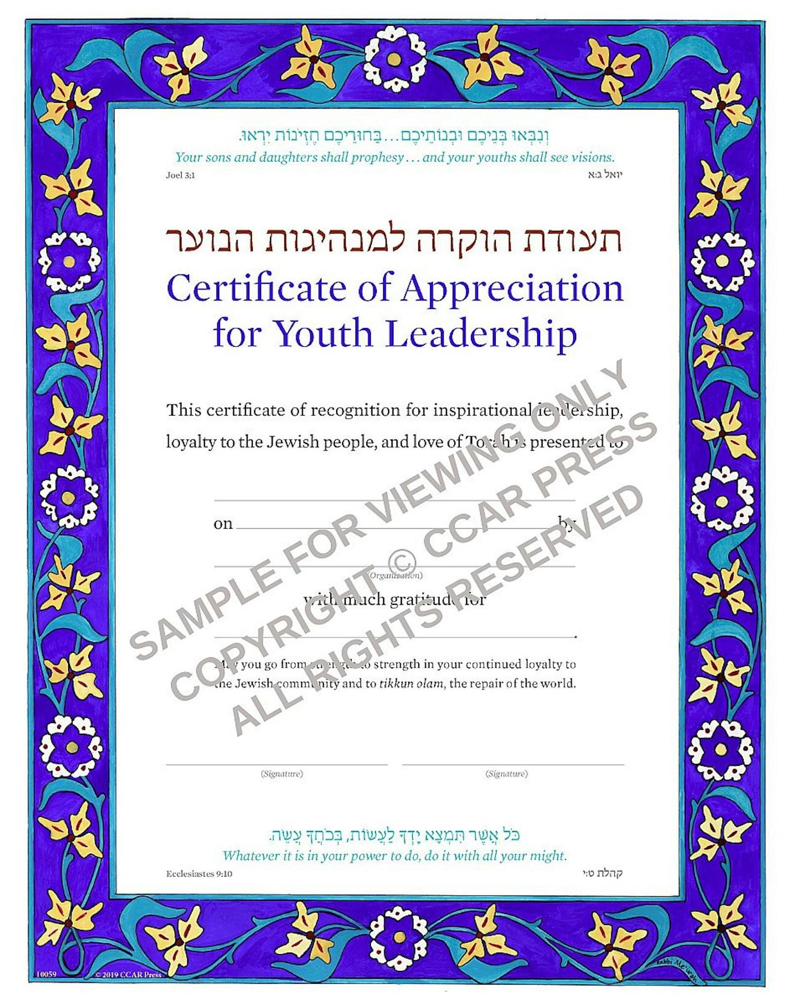 Cover of 'Recognizing Youth Leadership - Certificate' 