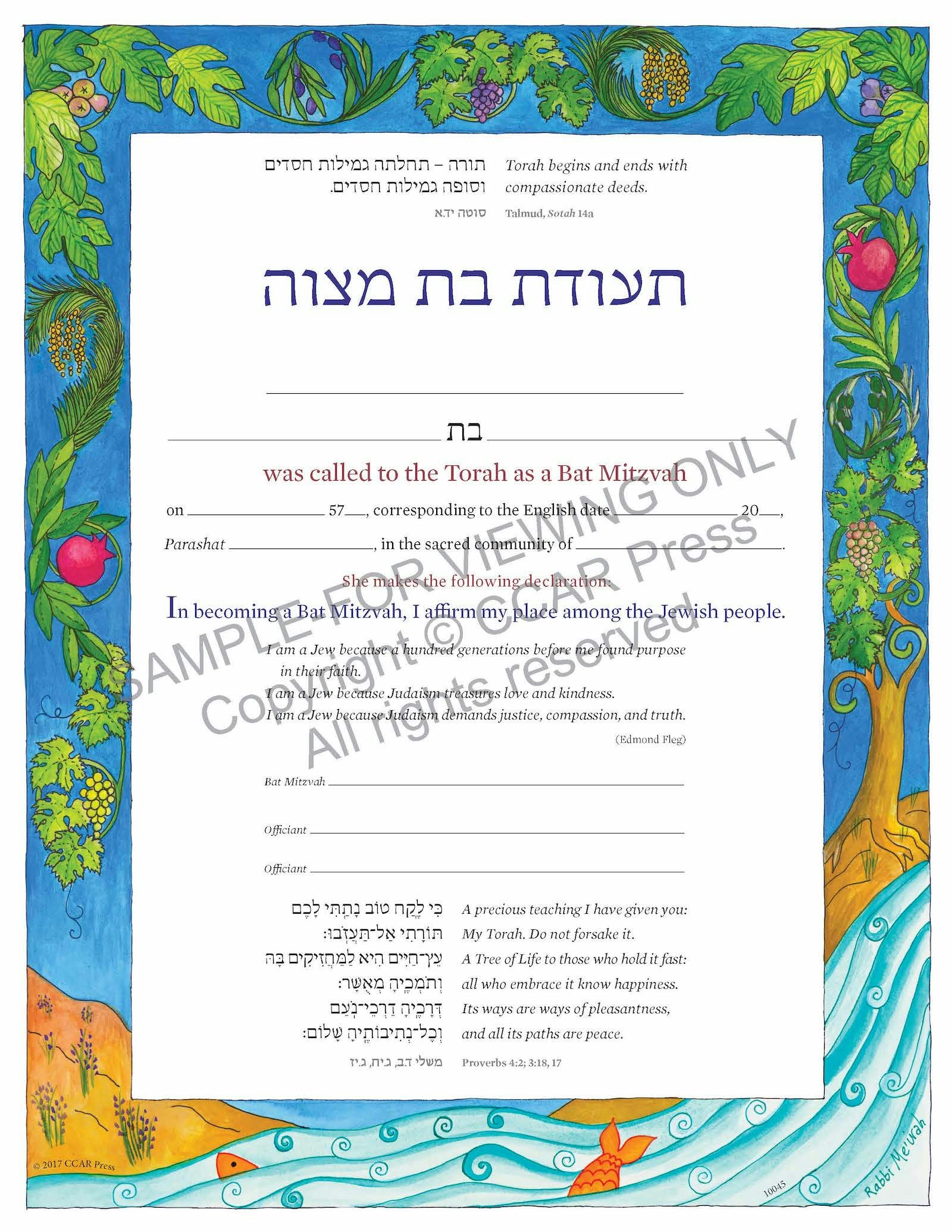 Cover of 'Bat Mitzvah - Certificate' 