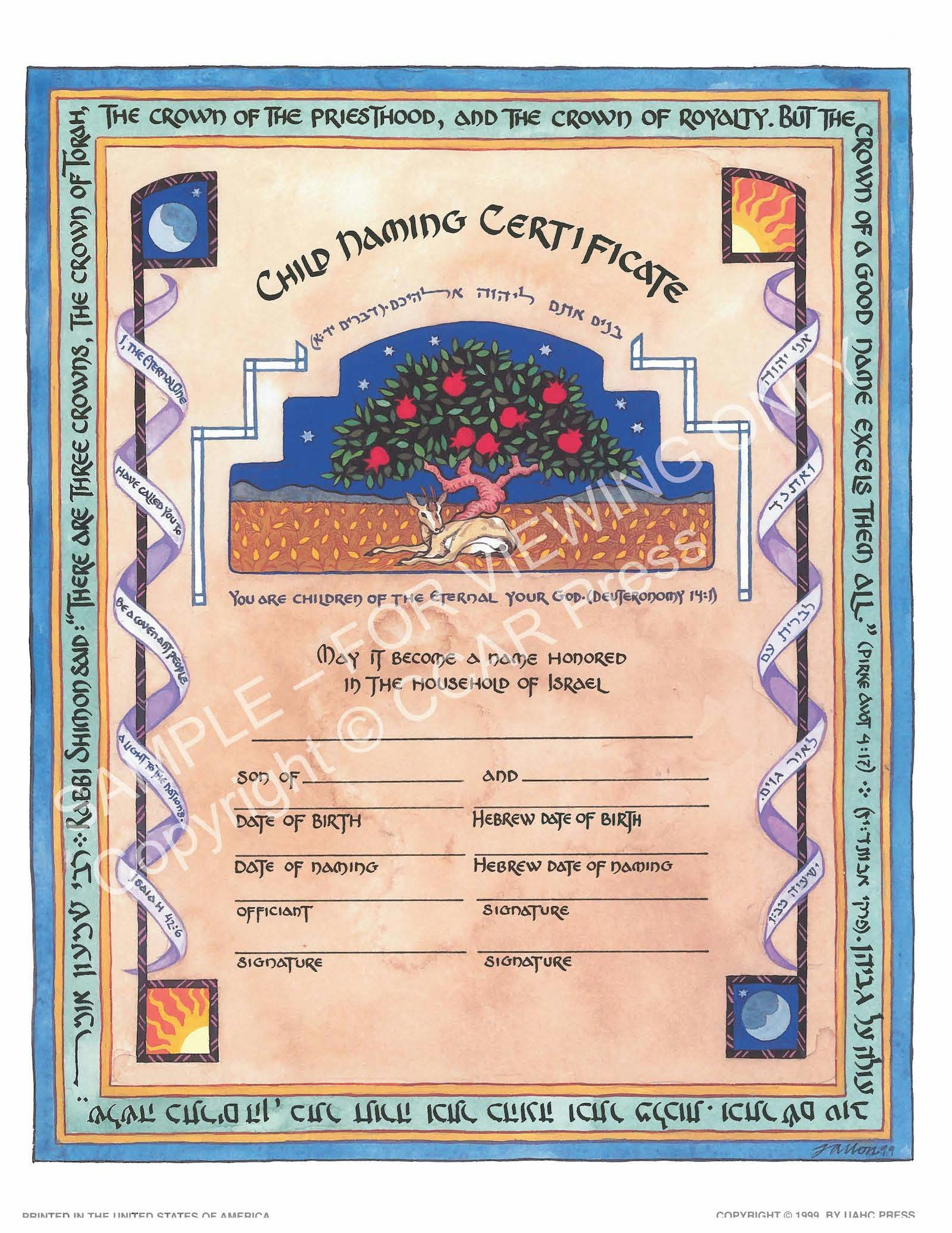 Cover of 'Child Naming, Boy: Single, Illuminated - Certificate' by no author 