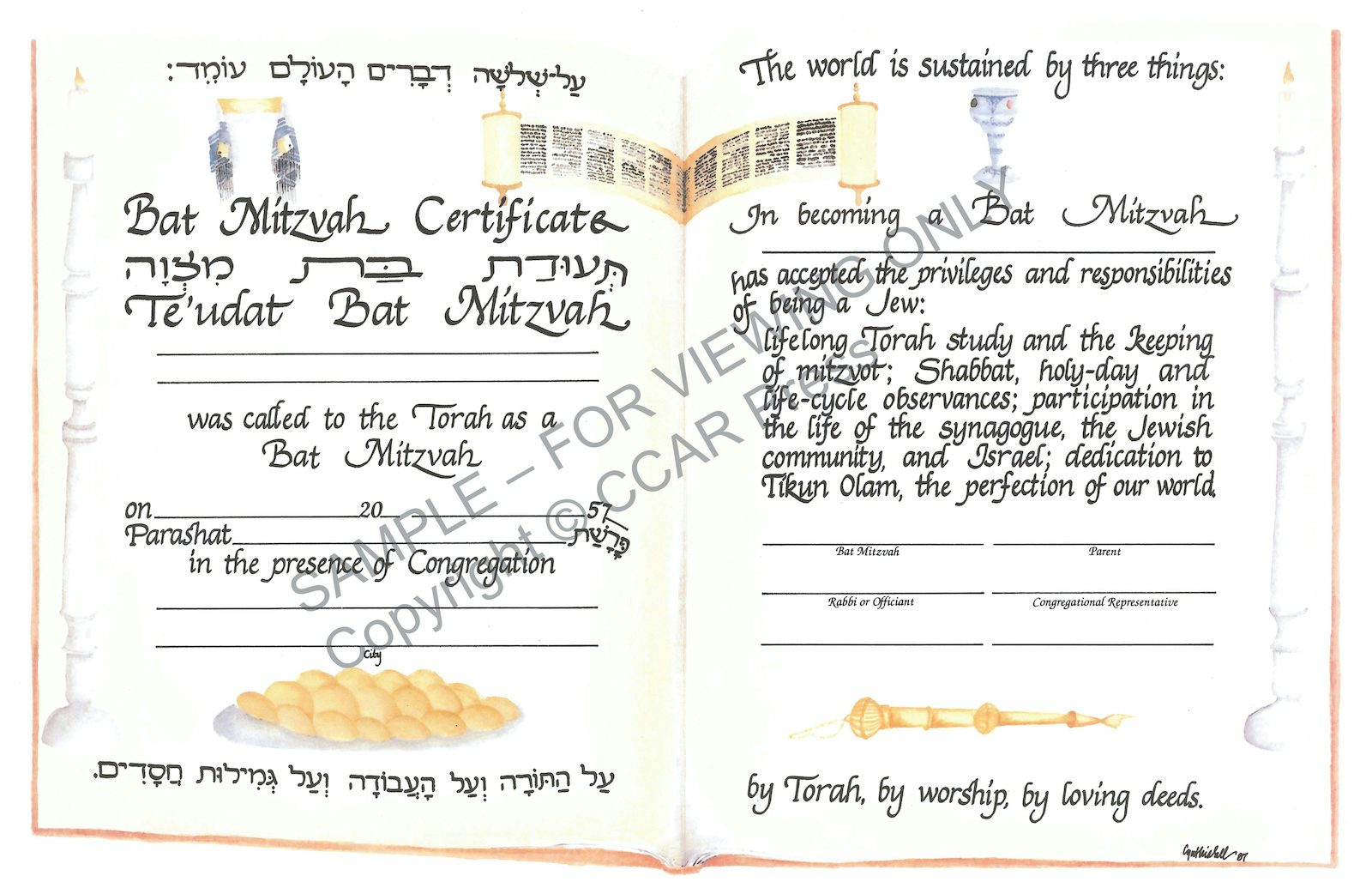 Cover of 'Bat Mitzvah, Illuminated - Certificate' 