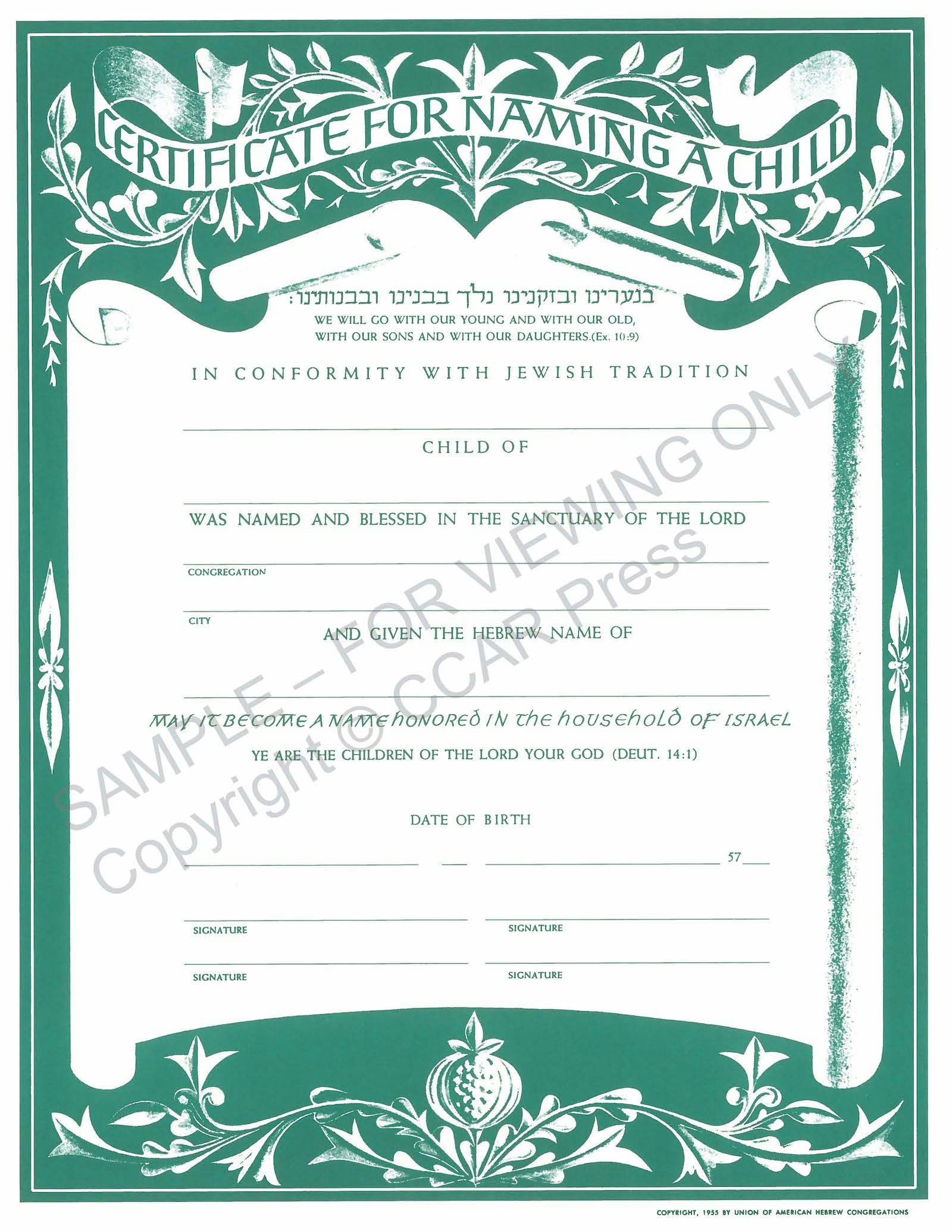 Cover of 'Child Naming, Single  - Certificate' 