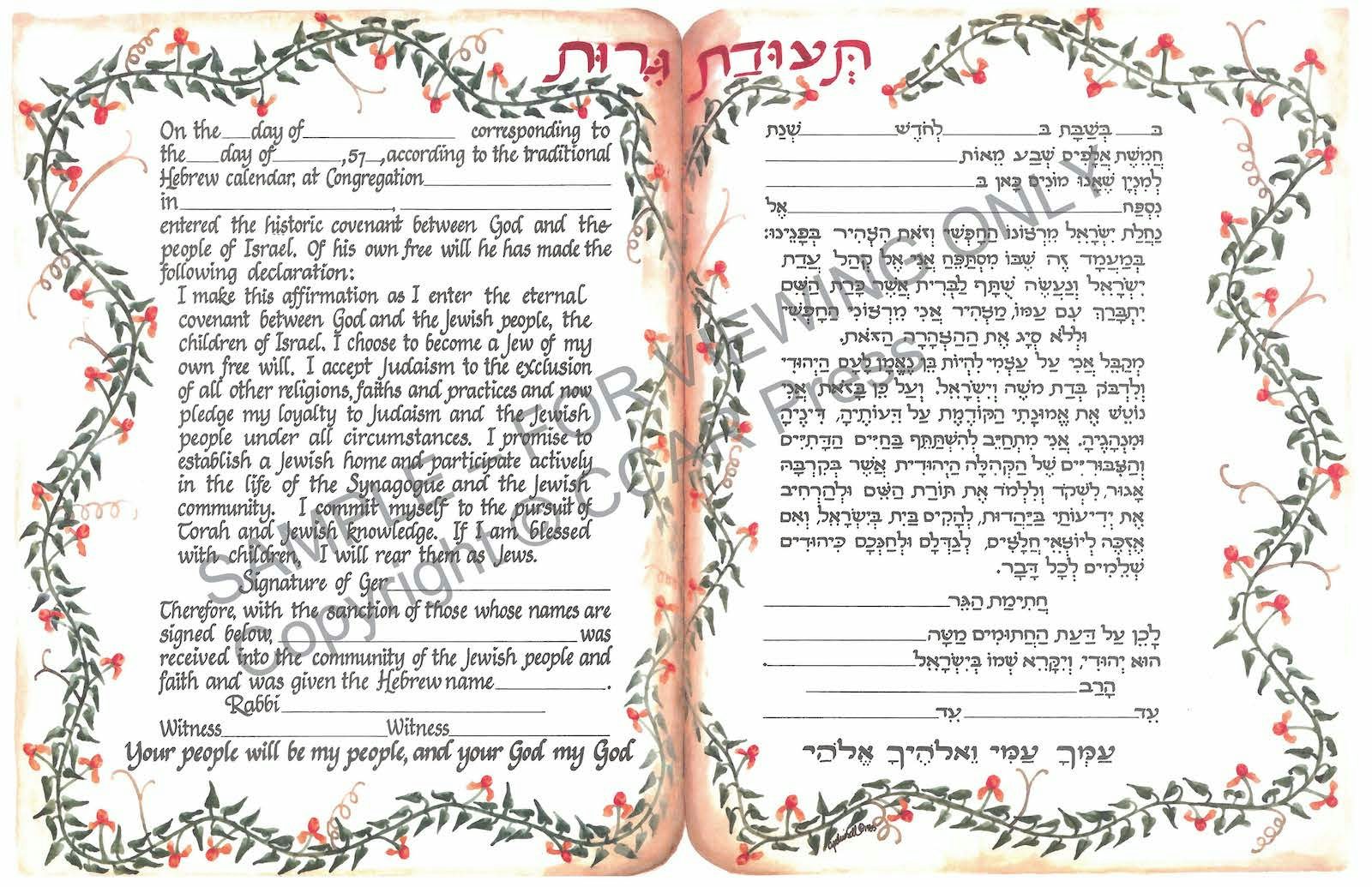 Cover of 'Conversion, Male, Illuminated - Certificate' 