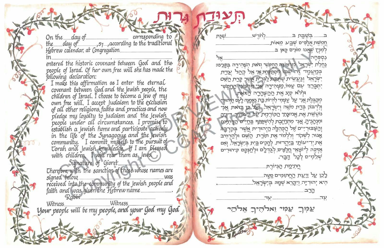 Cover of 'Conversion, Female, Illuminated - Certificate' 