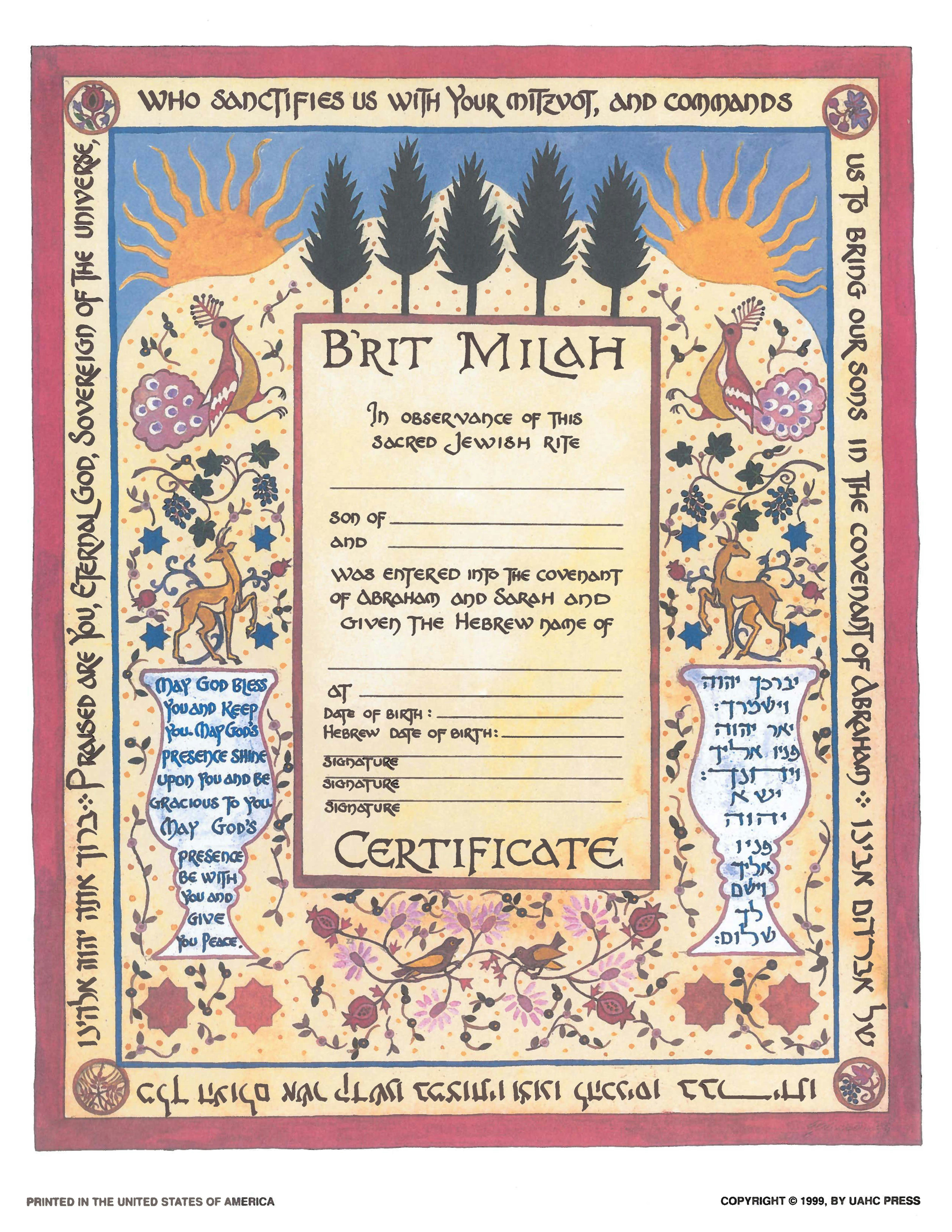 Cover of 'Brit Milah, Single, Illuminated - Certificate' by no author 