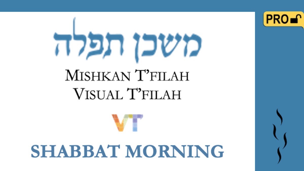 Cover of 'Mishkan Tfilah - Visual Tfilah - Shabbat Morning - Pro' by Elyse D. Frishman 
