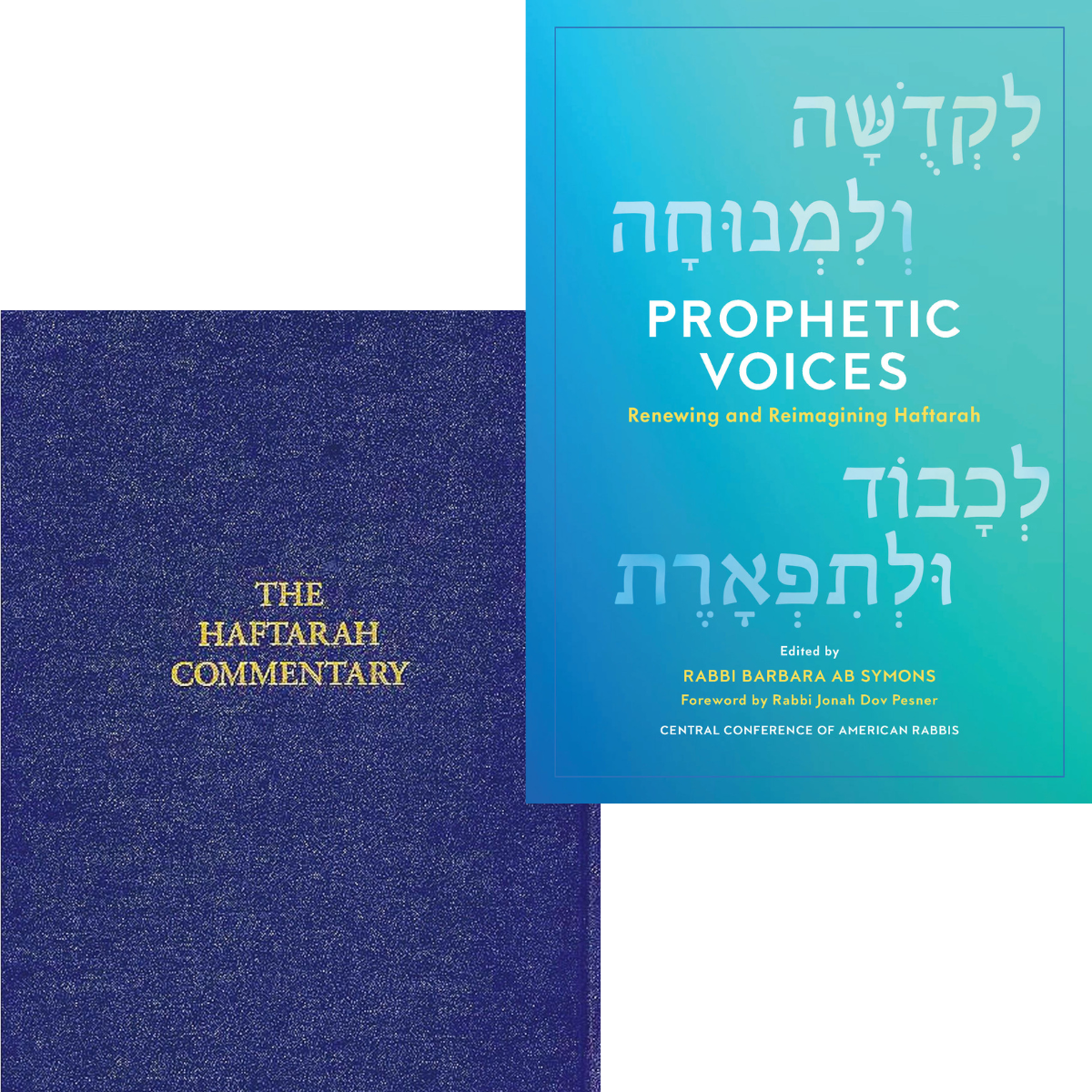 Cover of 'Haftarah Bundle' by Rabbi Barbara AB Symons and Chaim Stern 