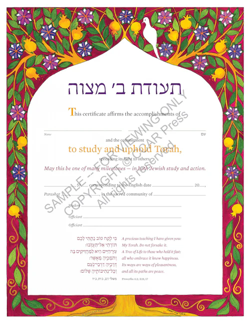 Cover of 'Adult Bet Mitzvah (Gender Neutral) - Certificate' 